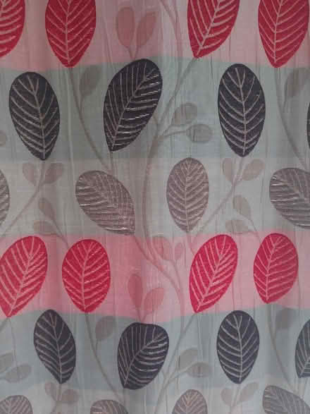 Photo of free Curtains (Withdean BN1) #1