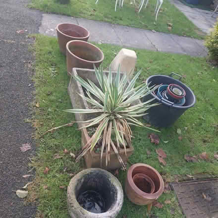 Photo of free Plant and pots (Jesmond Park East NE7) #1