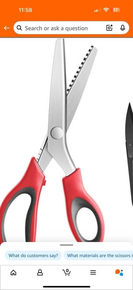 Photo of Pinking shears (Wellington TF1) #1