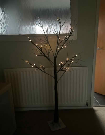 Photo of free Snow effect pre lit Christmas tree (Greenhill DY10) #1