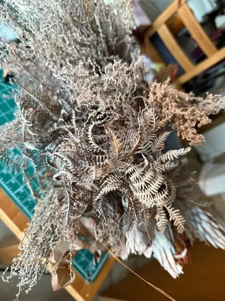 Photo of free Dried flowers and leaves (Pant SY10) #1