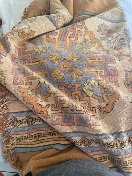 Photo of free Antique chenille curtains (Cashes Green, Stroud.) #2
