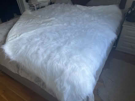 Photo of free Fluffy material (Great Totham CM9) #1