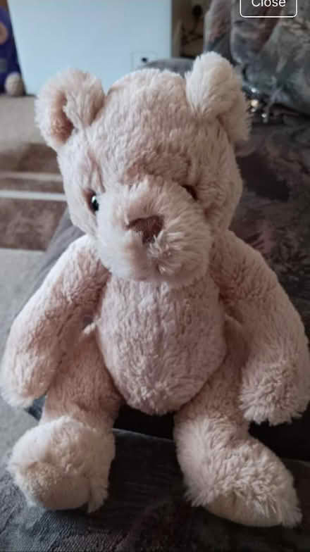 Photo of free Fluffy teddy (Chattenden) #1