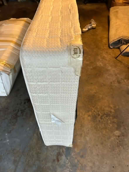 Photo of free Twin Serta box spring (Chestnut Hill) #2