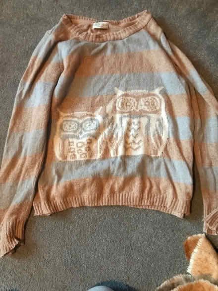 Photo of free Owl jumper (Whalley Range M16) #1