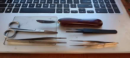 Photo of free dissection tools (melrose) #1