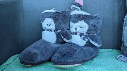 Photo of free Fluffy Penguin Slippers (west side of Horsham) #2