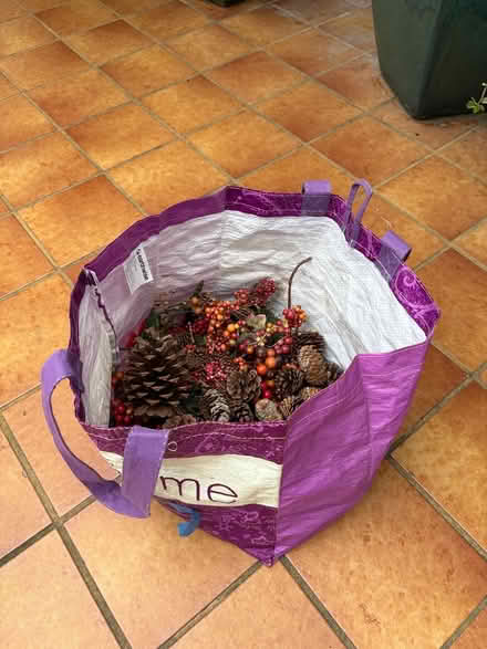 Photo of free bag of pine cones and berries (Willow Glen) #1