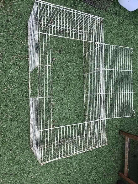 Photo of free Guinea pig or rabbit run (Cullercoats NE30) #1