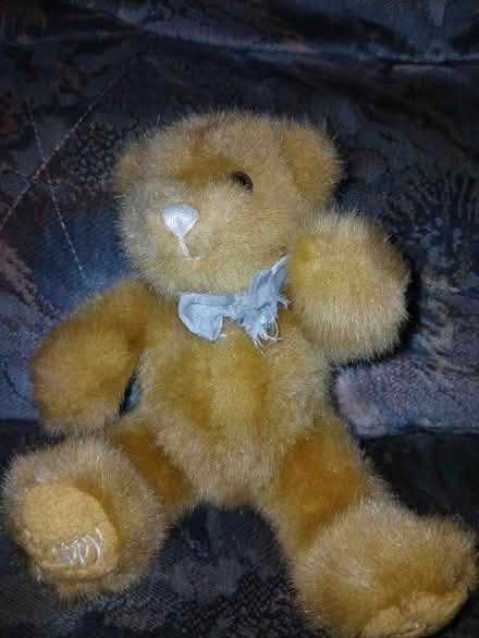 Photo of free 21st birthday teddy (Chattenden) #1