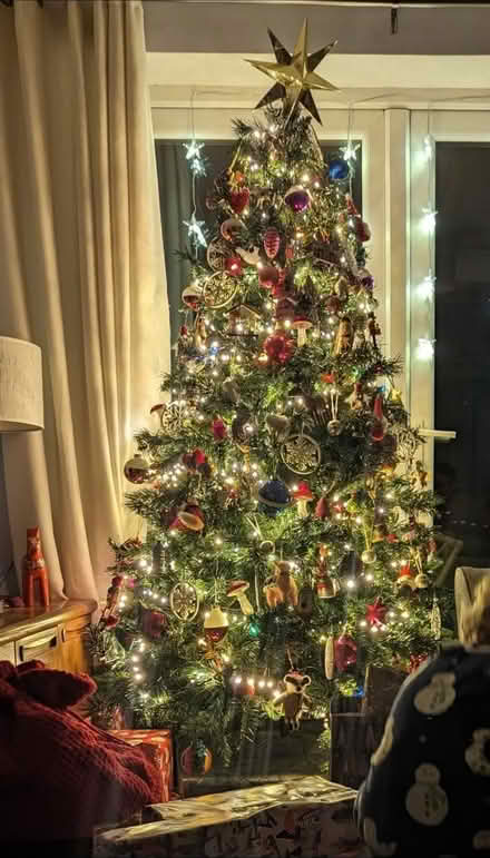 Photo of free Christmas tree (SY3) #2