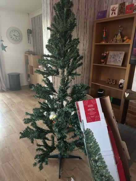 Photo of free Christmas Tree (Dronfield S18) #1