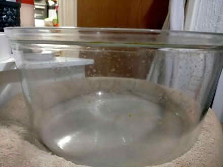 Photo of free Halogen replacement bowl (Kingsmoor CM18) #2