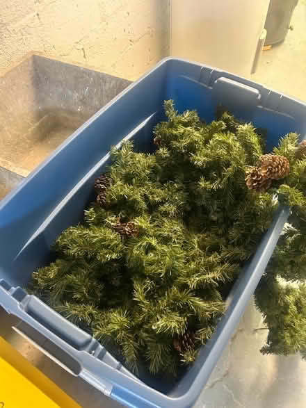 Photo of free Long Christmas Garland (Midtown Toronto) #2