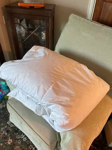Photo of free Single duvet x 2 (Braintree) #2