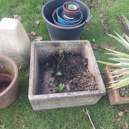 Photo of free Plant and pots (Jesmond Park East NE7) #3