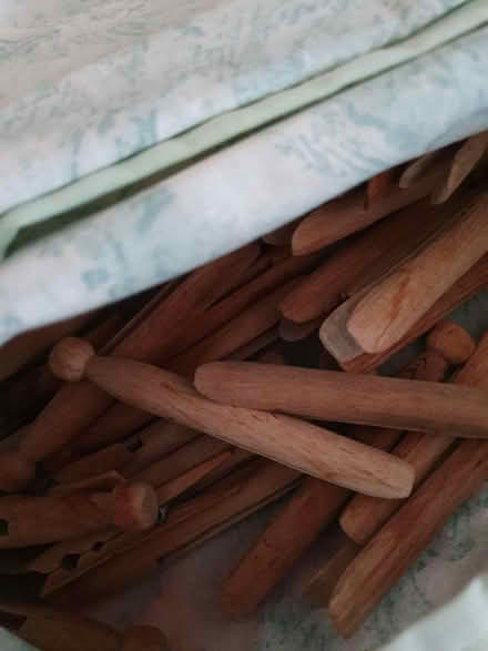 Photo of free Peg bag and pegs (Arnold NG5) #1