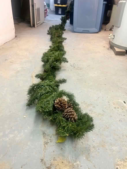 Photo of free Long Christmas Garland (Midtown Toronto) #1