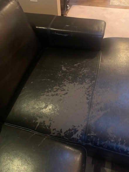 Photo of free kasala sectional couch and chair (vashon north end) #4