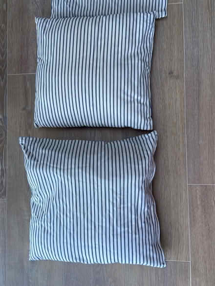 Photo of free blue white striped cushions (Weeke, Winchester SO22) #1
