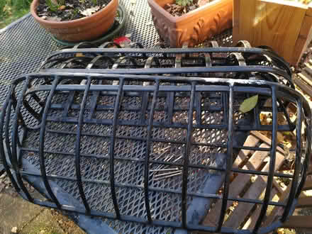 Photo of free Hanging basket (Earlham NR4) #1