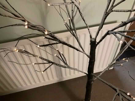 Photo of free Snow effect pre lit Christmas tree (Greenhill DY10) #2