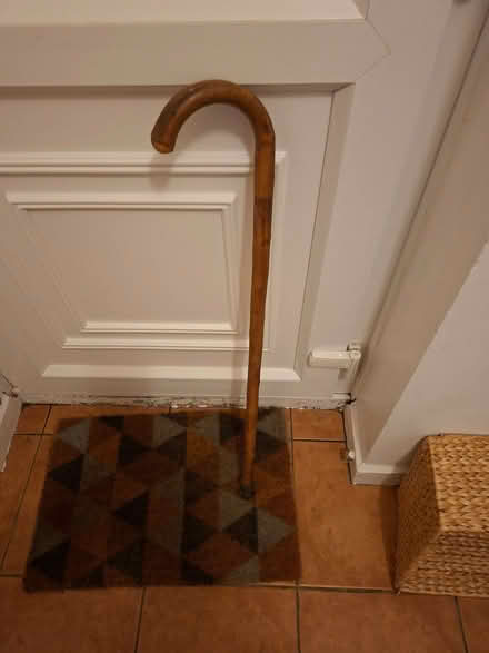 Photo of free Walking stick (Eaton NR4) #1