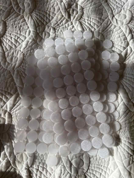 Photo of free School and art supplies (Shoreline) #3