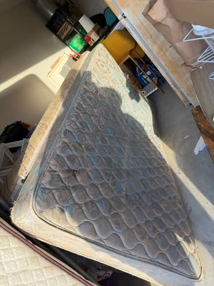 Photo of free King Single bed (Fitzgibbon) #2