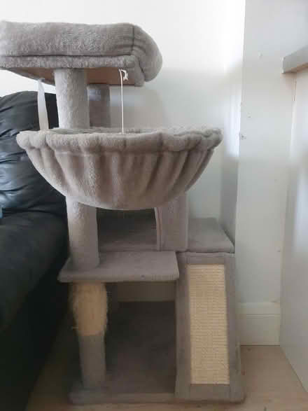 Photo of free Cat Tree (Purley, CR8) #1