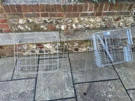 Photo of free Dish-rack and dishwasher trays (Queen's Park BN2) #1