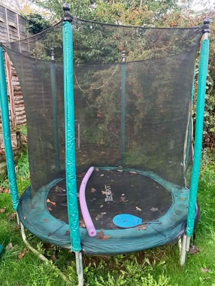 Photo of free Large trampoline (Caversham, Reading) #1
