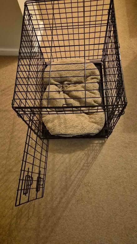 Photo of free Dog Safety Crate (Royal Wootton Bassett SN4) #1