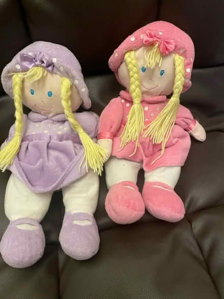 Photo of free Rag dolls (Norbury) #1
