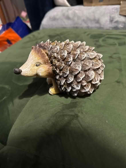 Photo of free hedgehog (marden TN12) #2