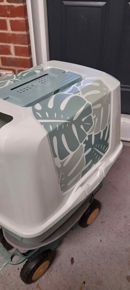 Photo of free Litter tray for large cat and some litter (City Centre NR1) #1