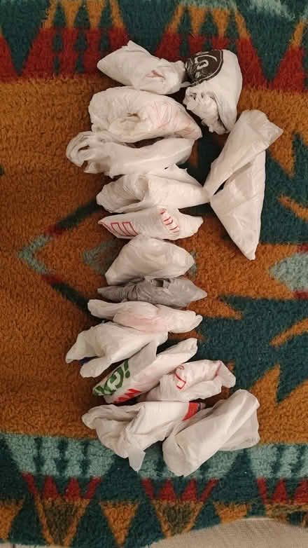 Photo of free Lot of plastic grocery bags (Midtown/Boulevard Park) #1