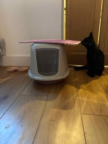 Photo of free Cat litter box (En6 2ra) #1