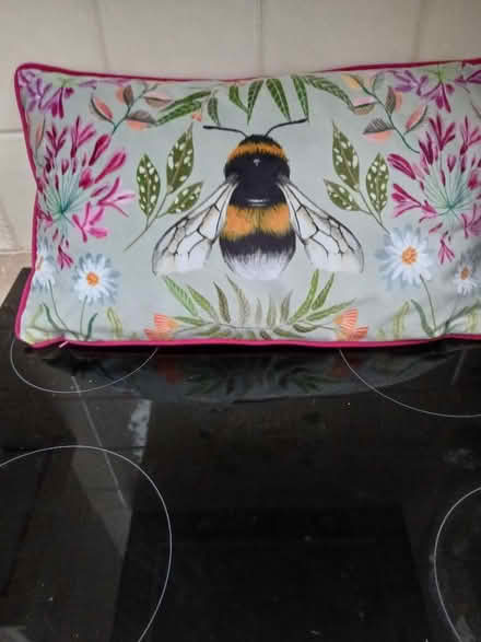 Photo of free Velvet cushion (Freehold LA1) #1