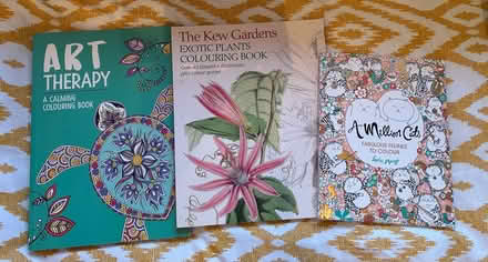 Photo of free Art therapy books (Halewood L26) #1