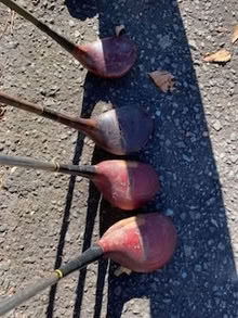 Photo of free Very old golf clubs (Chevy Chase DC) #2