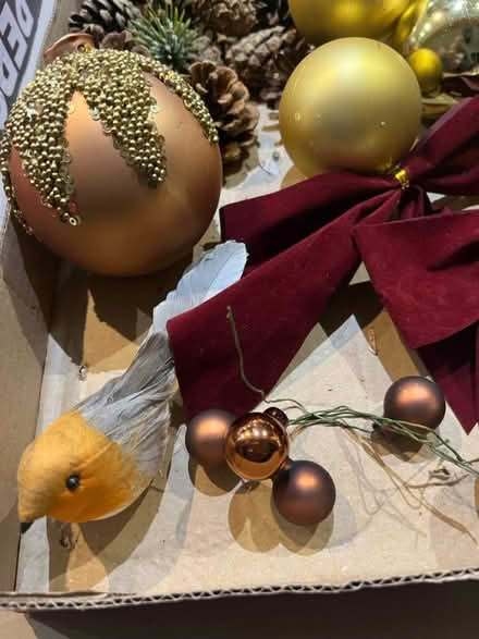 Photo of free Christmas wreath making materials (Newburgh WN8) #2