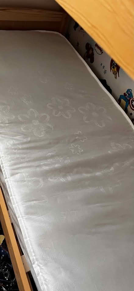 Photo of free Pine Bunk Beds (dn10 4jl) #3