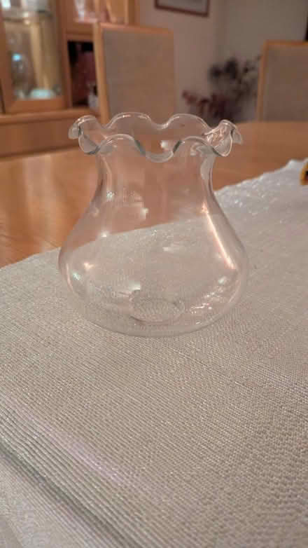 Photo of free Glass lamp shade (RG24 Old Basing) #1