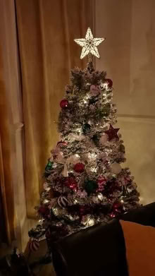 Photo of free 5ft Christmas Tree & Garland (Wisewood S6) #1