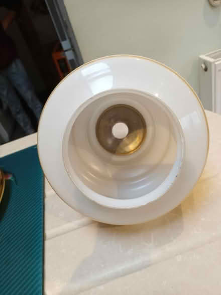 Photo of free Lamp Shade (City of Bristol BS16) #3