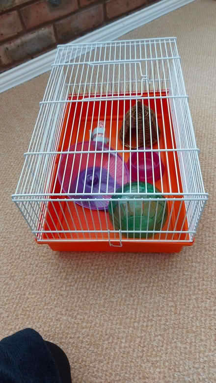 Photo of free Hamster Cage 1 (Seghill NE23) #1
