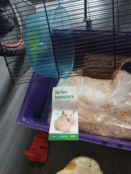 Photo of free Two xL hamster cages gerbil cage (Reading) #2