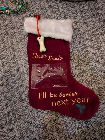 Photo of free Dog's stocking (Columbia Heights) #1